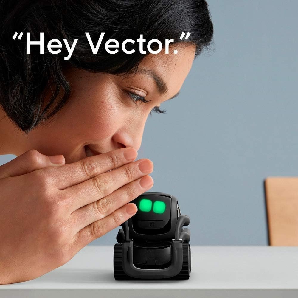 AI ChatGPT 2.0 Connected Robot - огляд і ціна Smart Home Ai