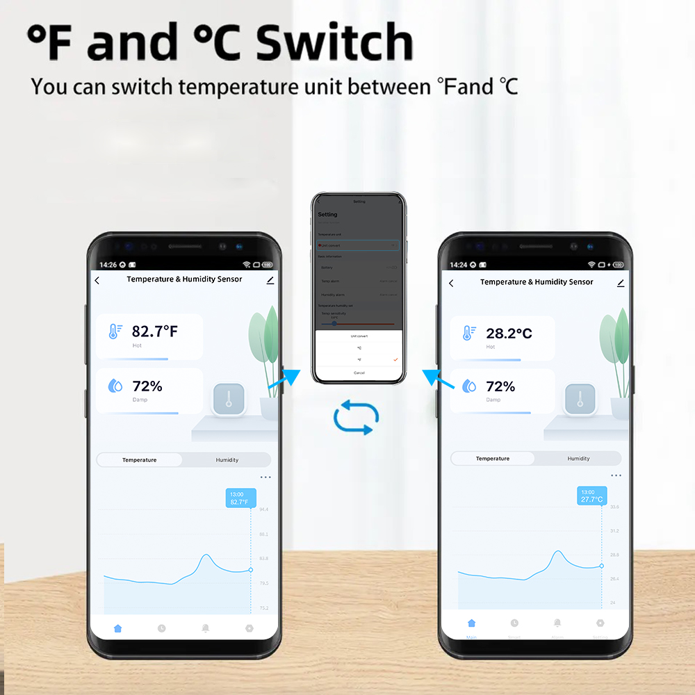 Waterproof Temperature Humidit - огляд і ціна Smart Home Tools